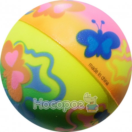 Мяч Фомова Бабочки DSCN8873