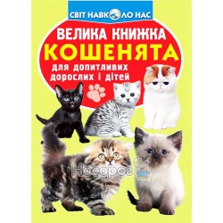 Большая книга - Котята "БАО" (укр)