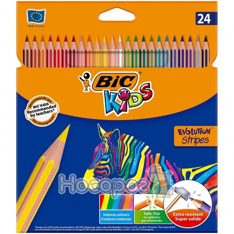 Карандаши цветные BIC Evolution Stripes 24 цвета 950525