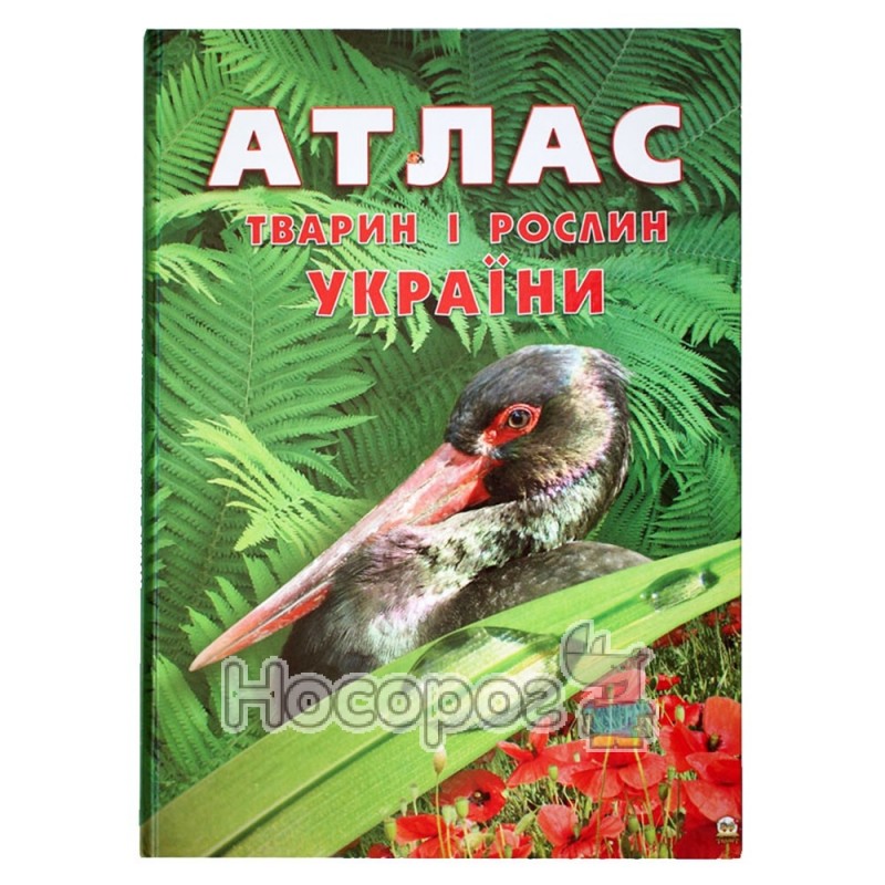Фото Атлас животных и растений Украины (укр.)