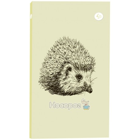 Блокнот TM Profiplan "Animal note", hedgehog,