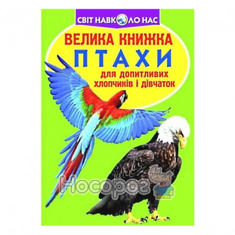 Велика книжка Птахи