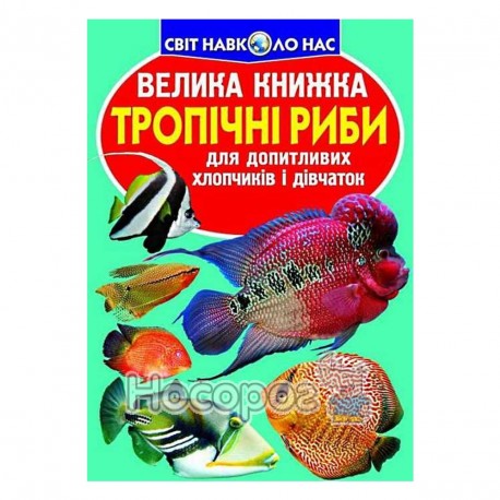 Велика книжка - Тропічні риби "БАО" (укр.)
