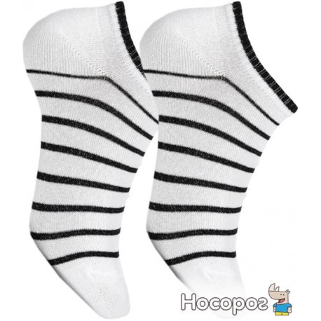 Шкарпетки V & T ШЧСг 56-012-069 41-44 р Біло-чорні (4823103400739)