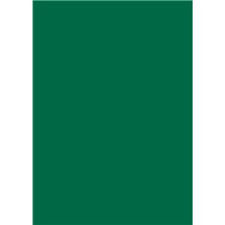 Бумага для дизайна Tintedpaper В2 (50*70см), №58 хвойно-зеленая 130г/м, без текстуры, Folia