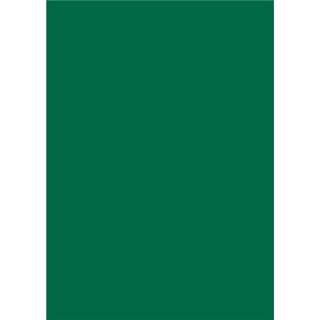 Бумага для дизайна Tintedpaper В2 (50*70см), №58 хвойно-зеленая 130г/м, без текстуры, Folia