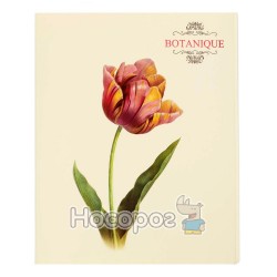 Папка з чотирма кільцями Botanique А4 L6190