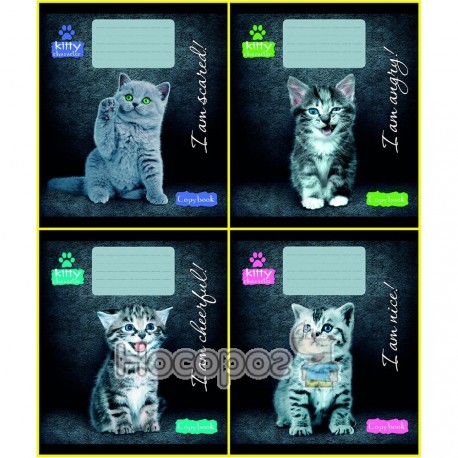 Зошит Міцар 24 арк. клітинка "Серія Kitty character"