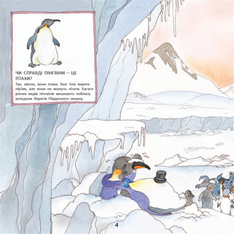 Фото Истории о животных. пингвиненок Боб