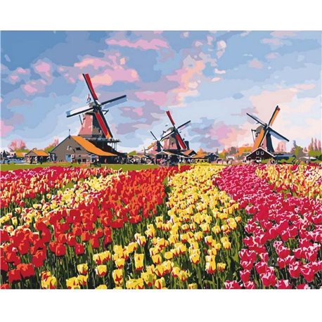 Красочные тюльпаны Голландии КНО2224