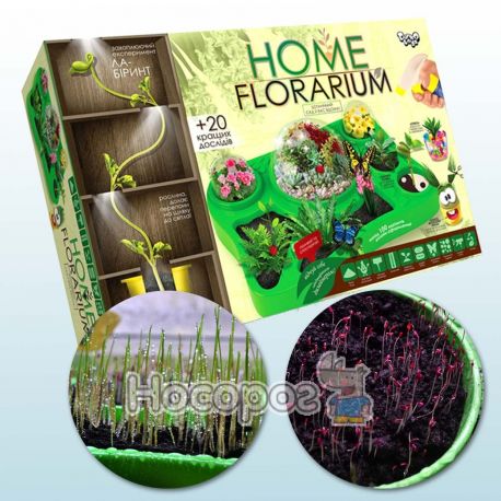 Безпечний освітній набір для вирощування рослин HOME FLORARIUM HFL-01-01U