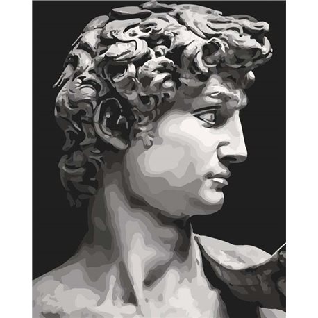 Картины по номерам - "Давид Микеланджело" (КНО4617)