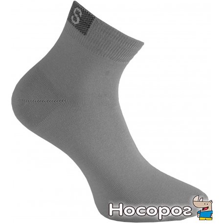 Шкарпетки чоловічі 6209 р.25 Срібло