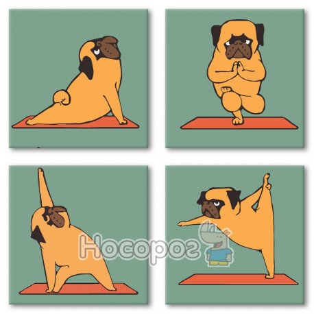 Yoga-dog [KNP012]