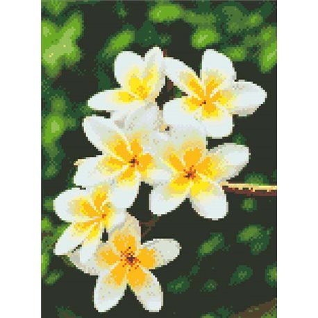 Алмазная вышивка - Гавайский цветок (АМ6105)