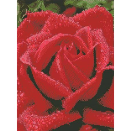 Алмазная вышивка - Запашна троянда (АМ6100)