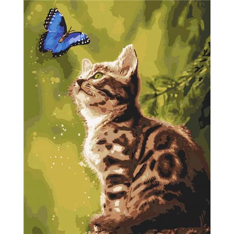 Картины по номерам - Загадочная бабочка (КНО4150)