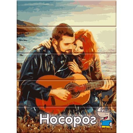 Картина по номерам на дереве "Вечер с гитарой" 30х40 см [ASW063]