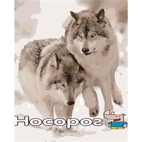 Картина по номерам "Хищники" 40х50см [AS0062]