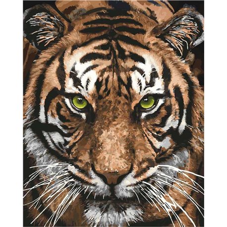 Картины по номерам - Величественный тигр (КНО4166)