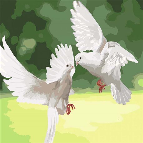 Картини по номерах - Білосніжні голуби (КНО4149)