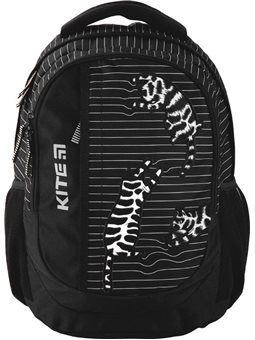 Рюкзак Kite Education K20-855M-3