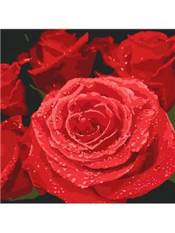 Картина за номерами "Червоні троянди" Ідейка (КНО3089)