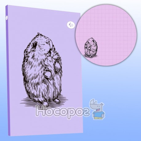 Блокнот TM Profiplan Animal note hamster