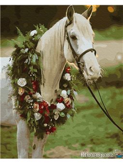 Картина за номерами Brushme 'Весільна конячка' [GX34166]