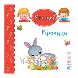 Хто це? Кролики