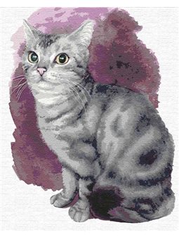 Картины по номерам - Маленький котенок (КНО4187)