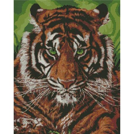 Алмазна вишивка - Непереможний тигр (АМ6140)