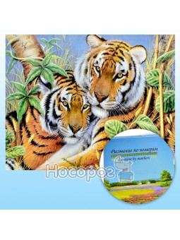Картина за номерами KTL 1711 Тигри