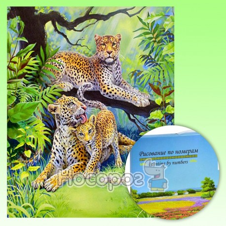 Картина по номерам KTL 1678 Семейка леопардов