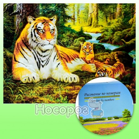 Картина за номерами KTL 0068 Тигри
