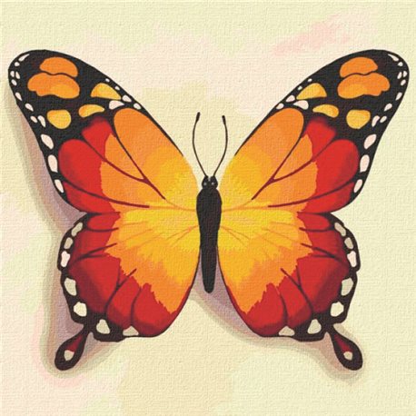 Картини за номерами "Помаранчева метелик" Ідейка (КНО4210)