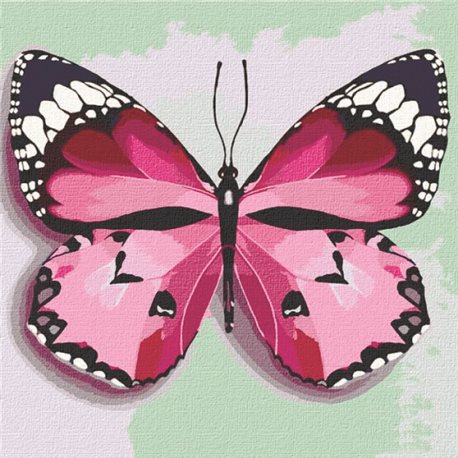 Картины по номерам "Розавая бабочка" Идейка (КНО4209)