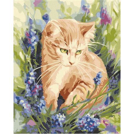 Картина по номерам "Котенок в цветах" Идейка (KHO4253)