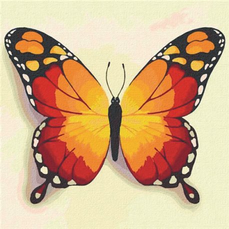 Картина за номерами "Помаранчевий метелик" Ідейка (КНО4210)