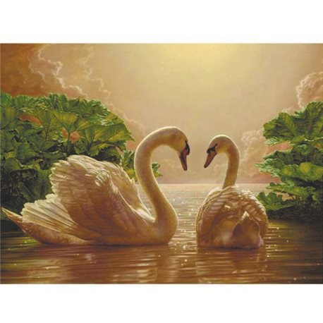 Картина по номерам "Пара лебедів" Идейка (КНО301)