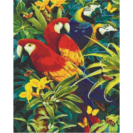 Картина за номерами "Різнобарвні папуги" Ідейка (KHO4028)