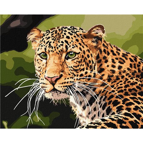 Набір для розпису по номерах. Зеленоокий леопард" 40х50см КНО4322"
