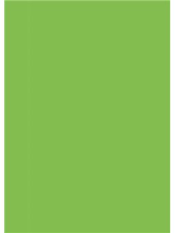 Папір для дизайну Tintedpaper А4 (21*29,7см), №51 світло-зелений, 130г/м, без текстури,Folia