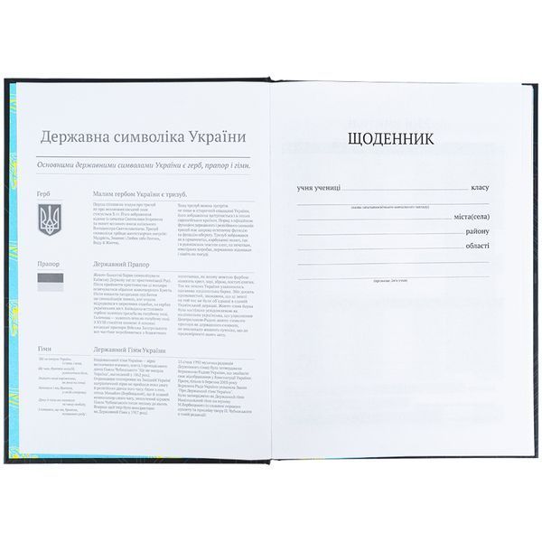 Щоденник шкільний Kite Cyber K25-262-4, тверда обкладинка 01253518 фото