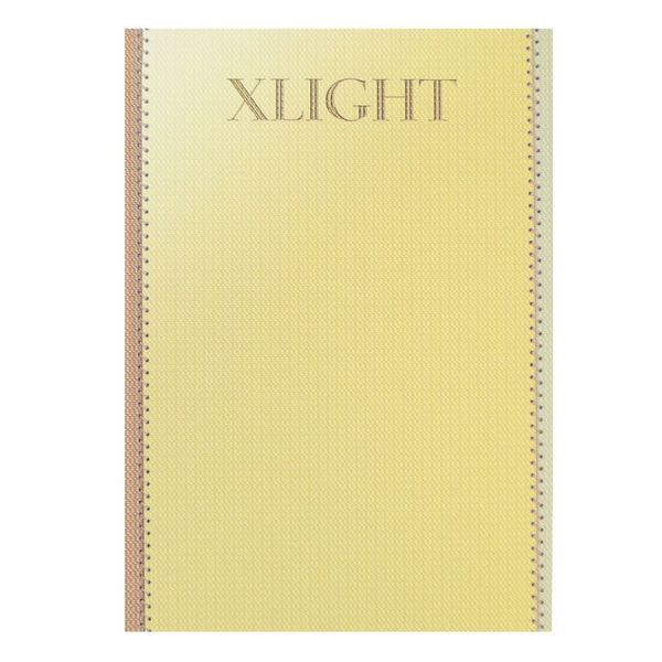 Діловий щоденник А5 Xlight - №2 005018 фото