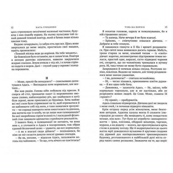 Тінь на порозі Гриценко Н. Академия [9789665805311] 582079 фото