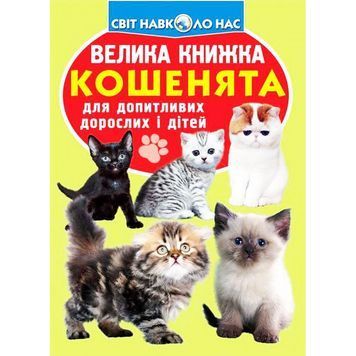 Большая книга - Котята "БАО" (укр) 895168 фото