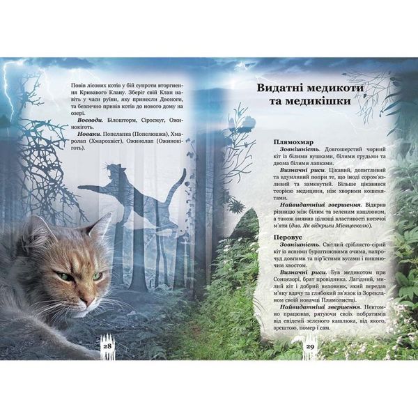Коти вояки. Таємниці Кланів. Путівник по серії Ерін Гантер АССА [9786177660278] 931343 фото