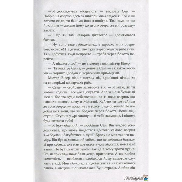 Сурма лебедя 571671 фото