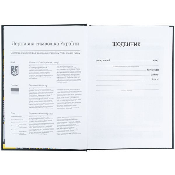 Щоденник шкільний Kite Transformers TF25-262, тверда обкладинка 01252774 фото